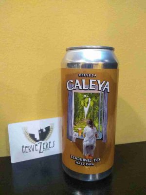 IMG_20251125_182454543_11zon CALEYA LOOKING TO